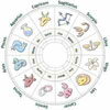 Get Name Horoscope Matching