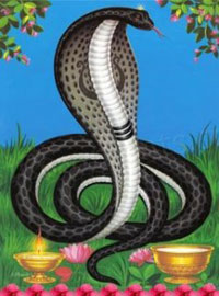Snakes are worshipped by Hindus on Naga Panchami day
