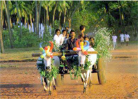 Pongal 2017 Date