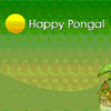 Festival of pongal