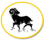 Daily horoscope for Aries