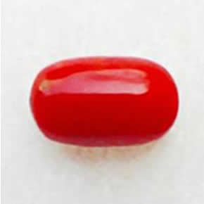 Red Coral Moonga Stone