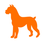 Chinese horoscope 2015 for dog