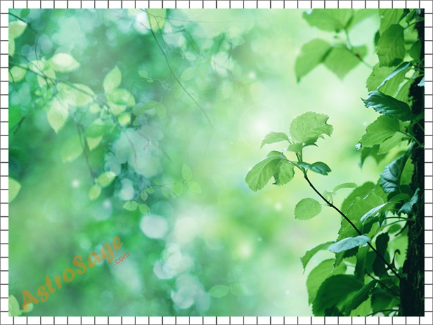 Free Nature backgrounds
