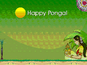 Pongal is the harvest festival of India