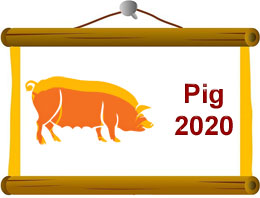 Pig Horoscope 2020 Predictions