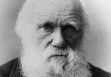 Charles Darwin Pictures and Charles Darwin Photos