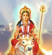 Devi Shailputri is Worshiped  on the first day of Navratri festival