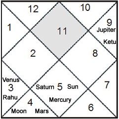 Houses In Kundli Chart