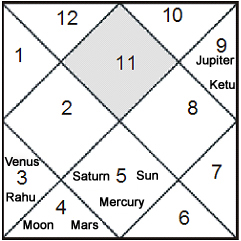 Learn To Read Kundli Chart