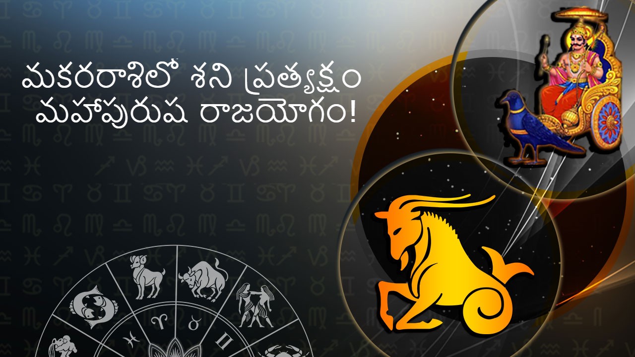 capricorn-zodiac-sign-in-telugu-60-photos-astrologytoyou